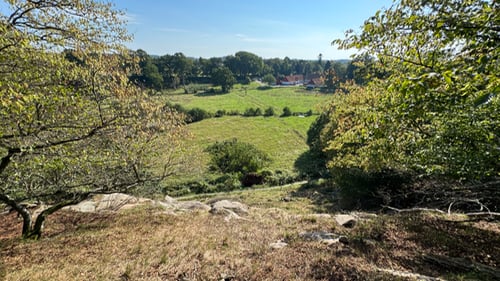 Gamleborg i Almindingen