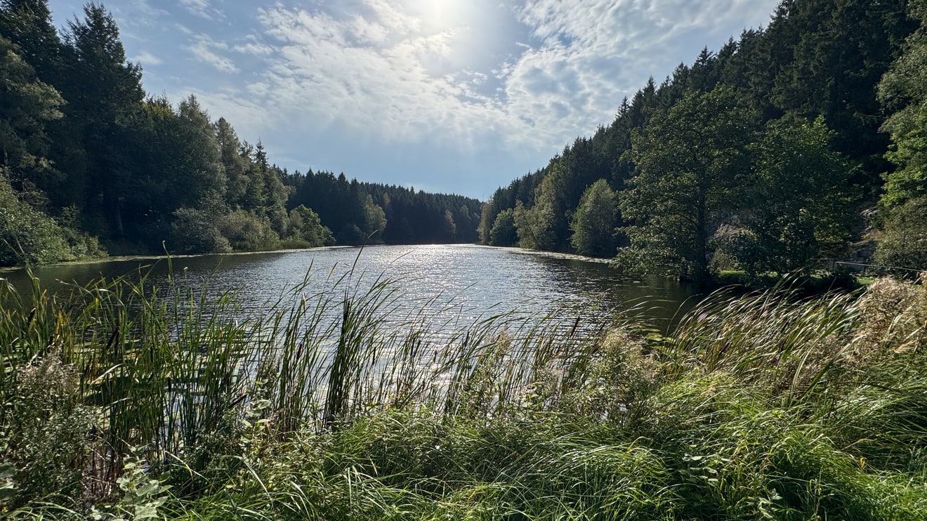 Borgedalssøen