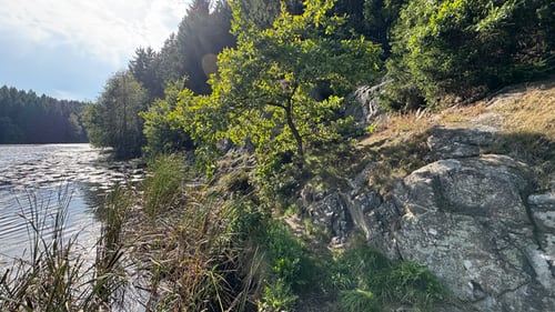 Borgedalssøen