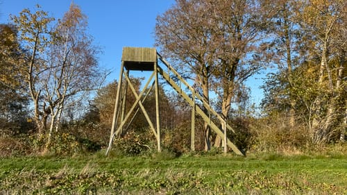 Hundsemyre