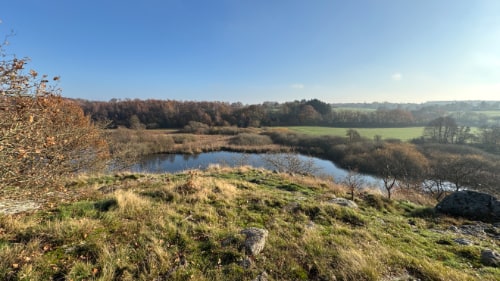 Rutsker Højlyng