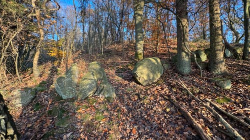 Gamleborg i Paradisbakkerne