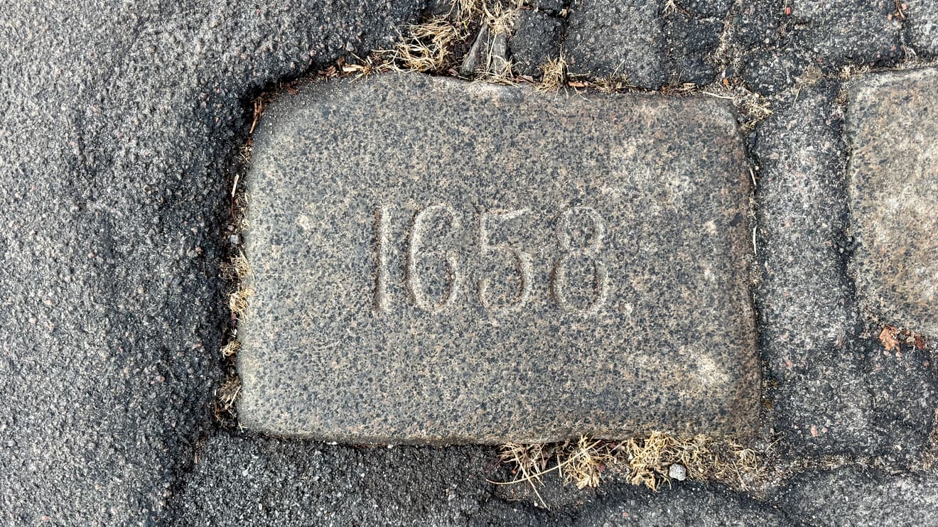 Printzensköldsstenene