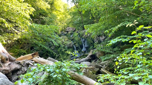 Døndalen