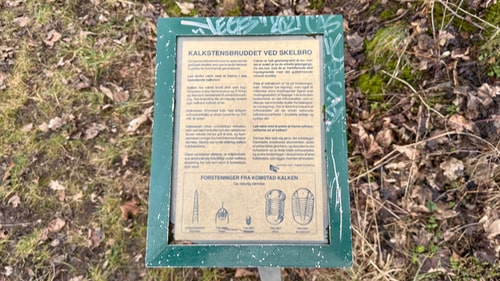 Kalkstensbruddet ved Skelbro