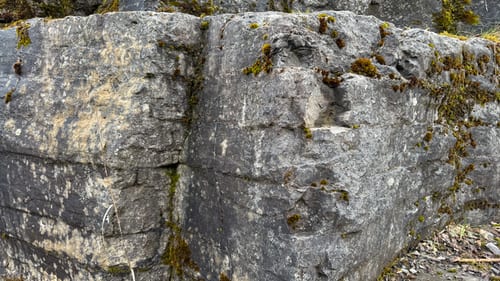 Kalkstensbruddet ved Skelbro