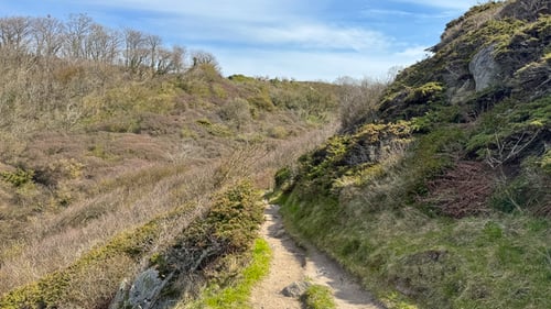 Blåskinsdalen