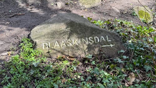 Blåskinsdalen