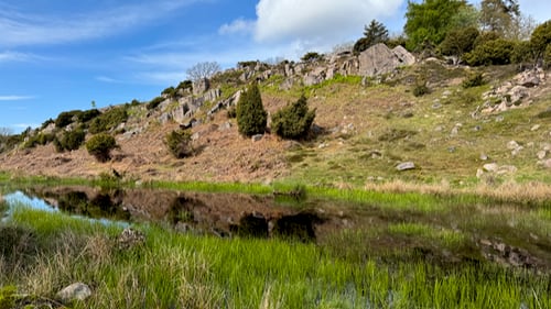 Ravnedalen