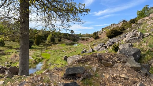 Ravnedalen