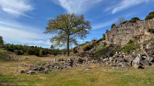 Ravnedalen