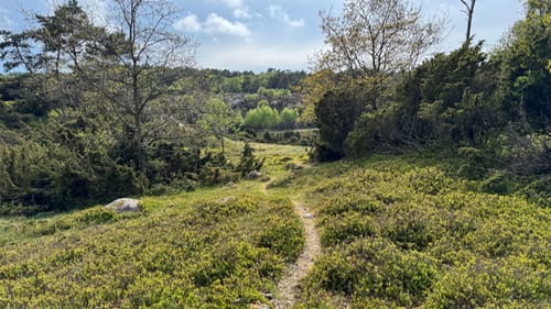 Ravnedalen