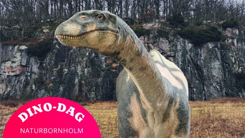 DINO-dag i sommerferien på NaturBornholm
