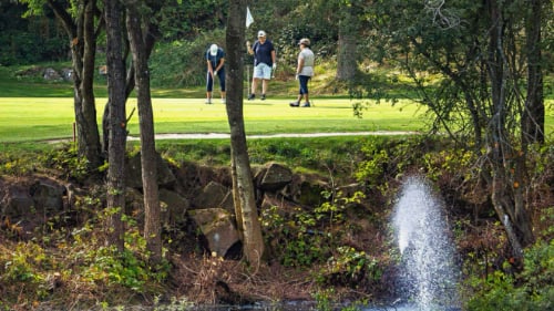 Gudhjem Golfklub – Rø Golfbaner